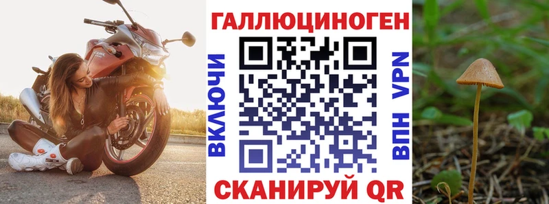 Галлюциногенные грибы MAGIC MUSHROOMS  цена наркотик  Бирск 