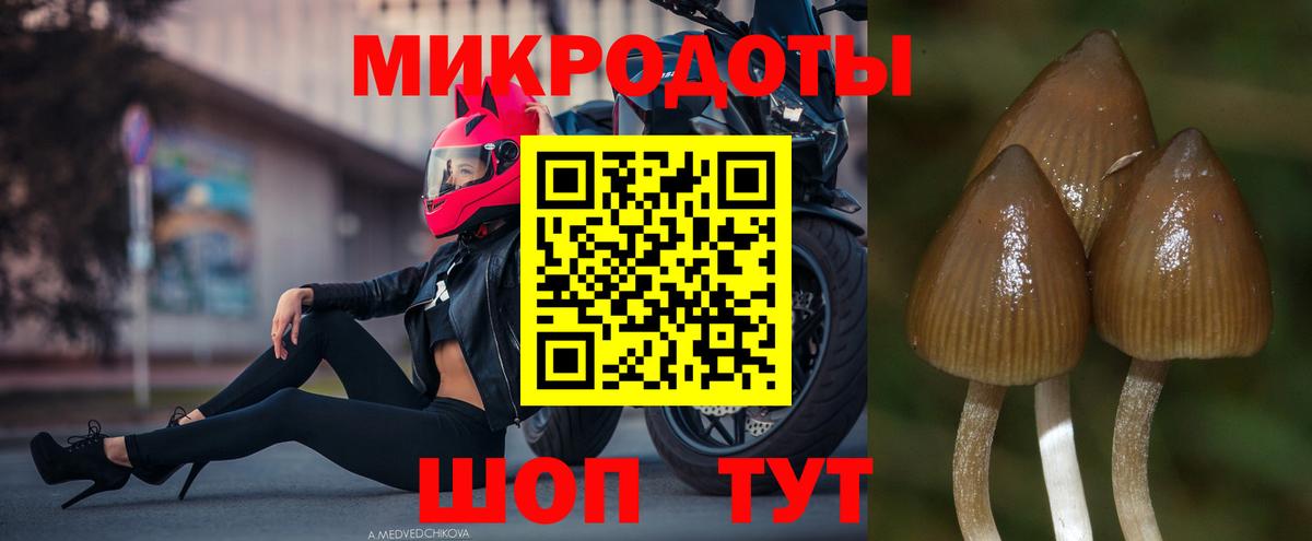 Галлюциногенные грибы Psilocybe  Вход с VPN  Бирск  закладки  Псилоцибиновые грибы прущие грибы 